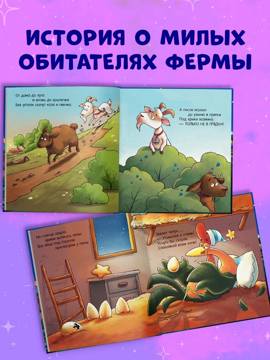 תמונה ממוזערת 2